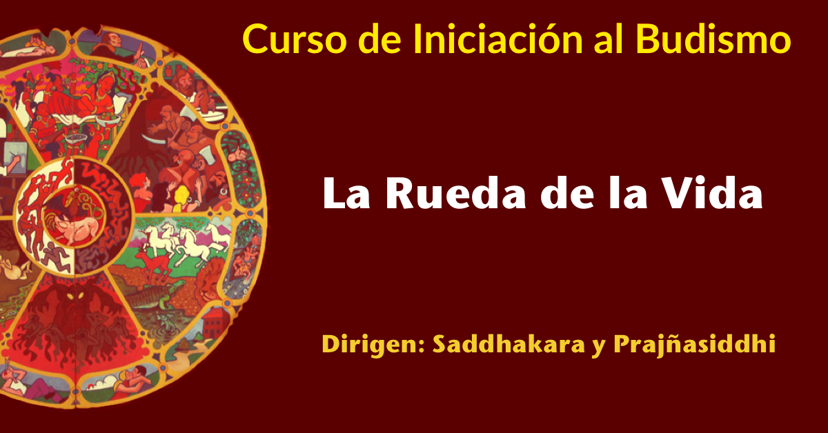 curso rueda de la vida