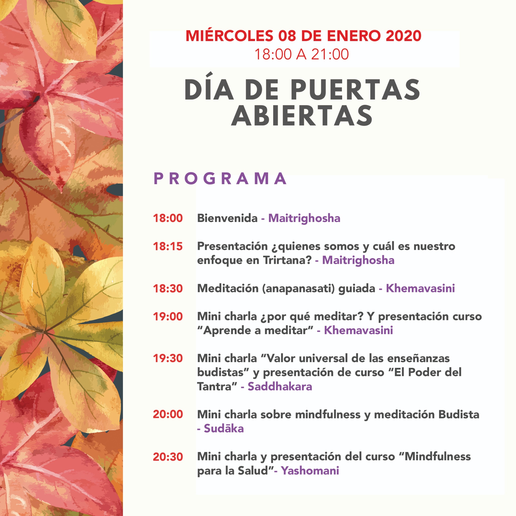 programa 2020