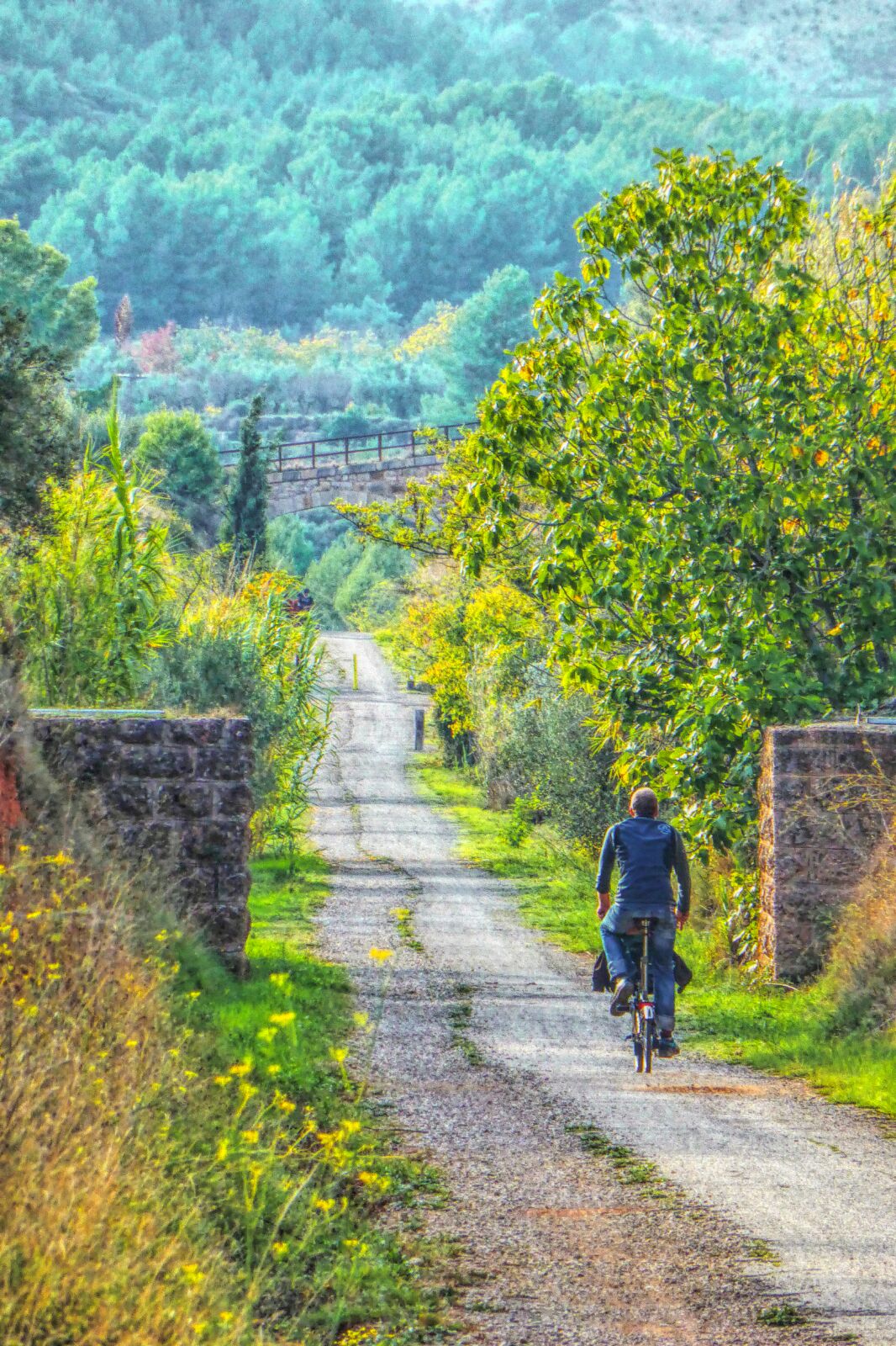 carril-bici-centro-de-retrios
